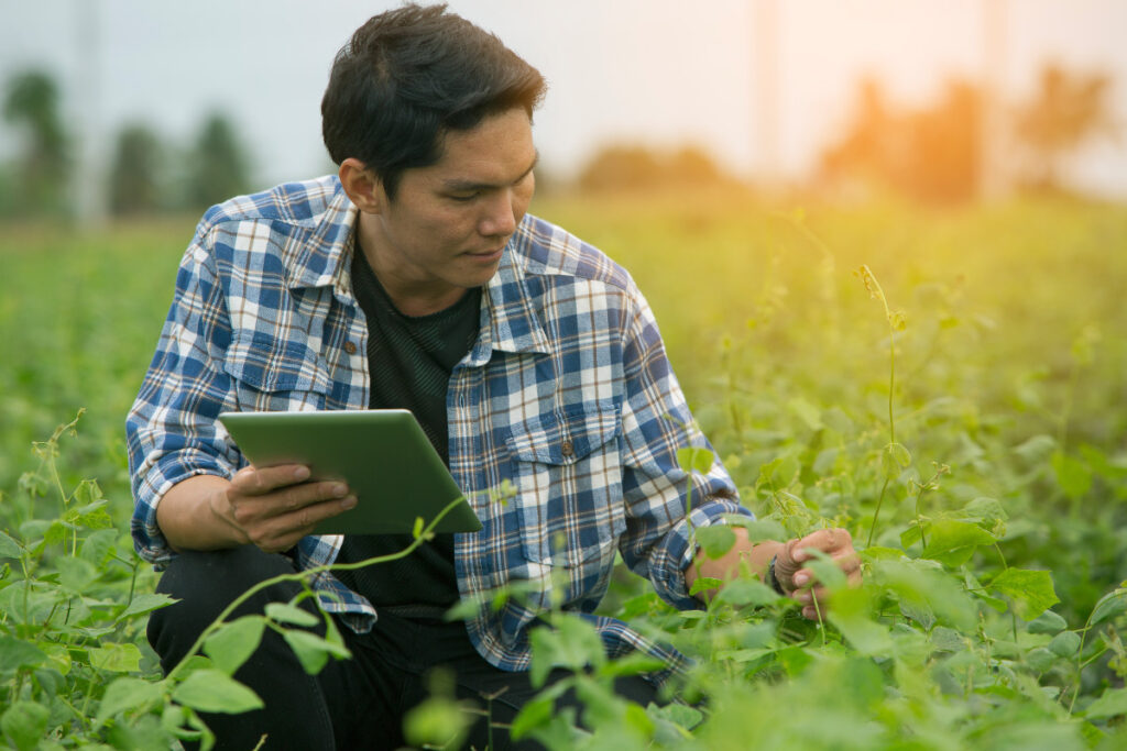 A man in a field doing an agribusiness check.