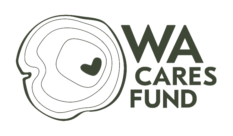 wa cares fund