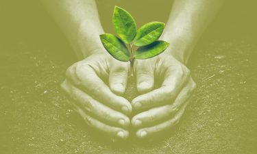 Love and protect nature. Hands holding a tree
